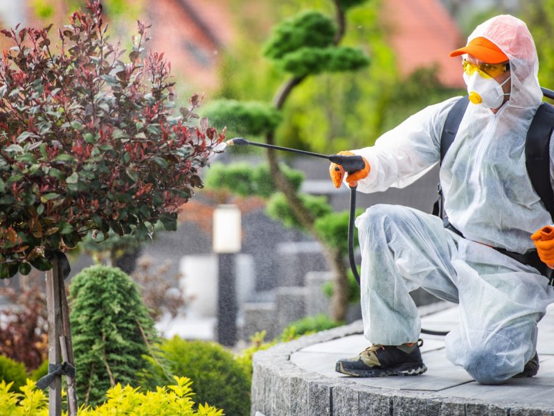 Sancaktepe Haşere İlaçlama